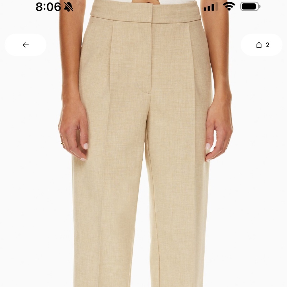 Aritzia Trousers